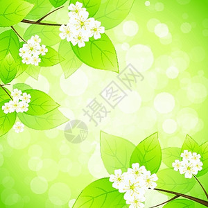 绿色背景上的鲜花和树叶背景图片