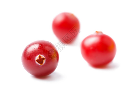 与世隔绝的熟红莓背景图片