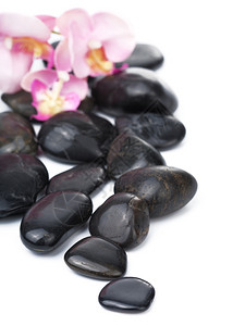 兰花石头孤立的黑锅石背景
