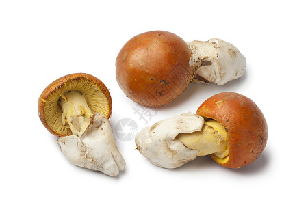 Caesars白色背景的蘑菇高清图片