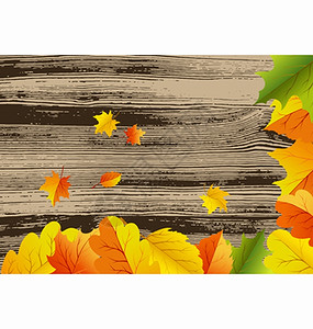叶子背景的秋映像矢量图解背景图片