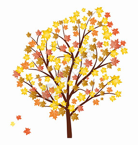 秋叶的红树矢量图解图片