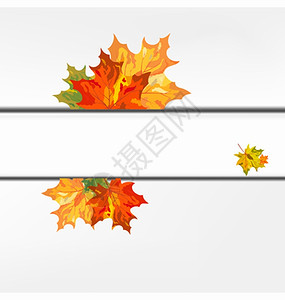 秋色红树叶框矢量插图图片