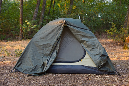 森林中的绿色帐篷露营概念图片