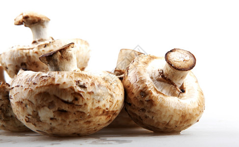 蘑菇香肠图片