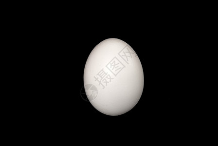 黑背景的白鸡蛋背景图片