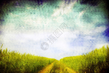 绿色田地和蓝天空的原始图像图片