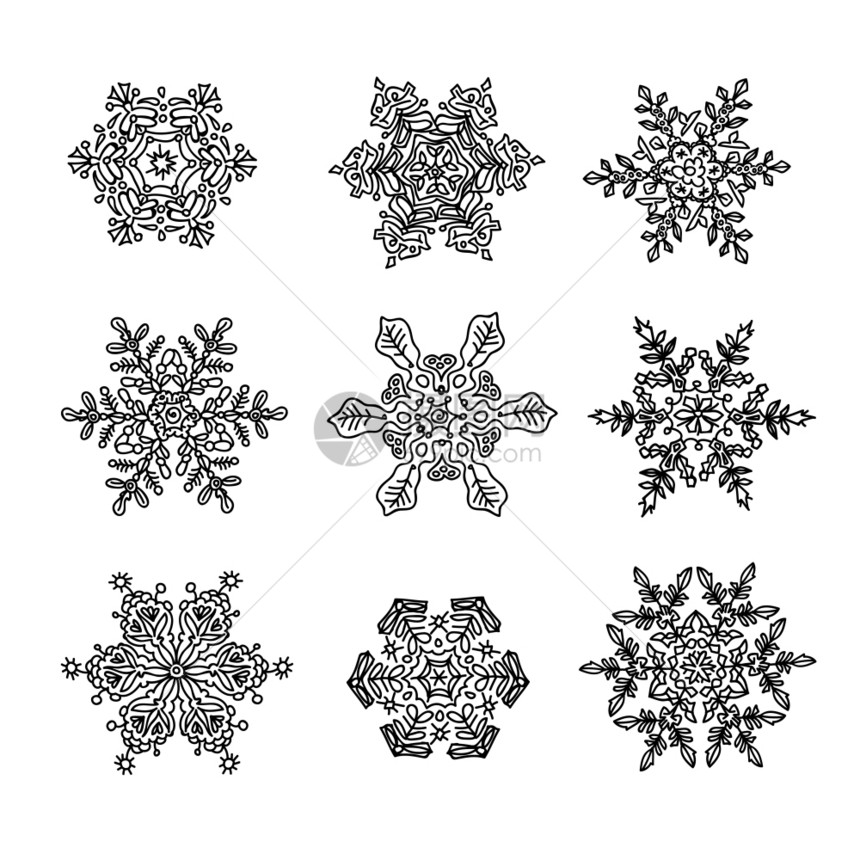 真正的雪花宏观结构变形和被画成可装饰的使用形状一组九种形式图片