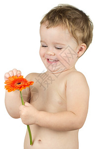 白色背景的婴儿天然鲜花图片