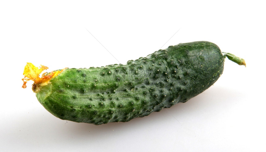 绿黄瓜在白色背景上被孤立图片