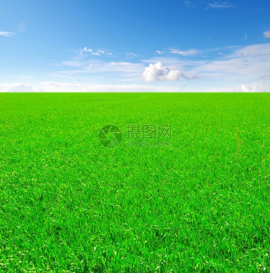 草地和蓝天空图片