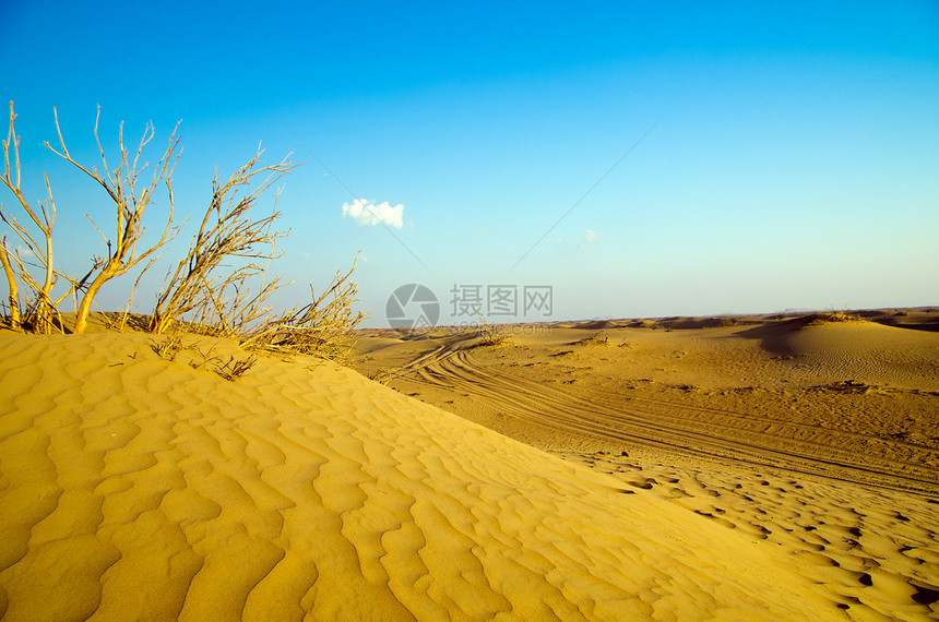 蓝天空的沙漠景观图片