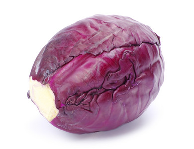 紫色卷心菜头图片