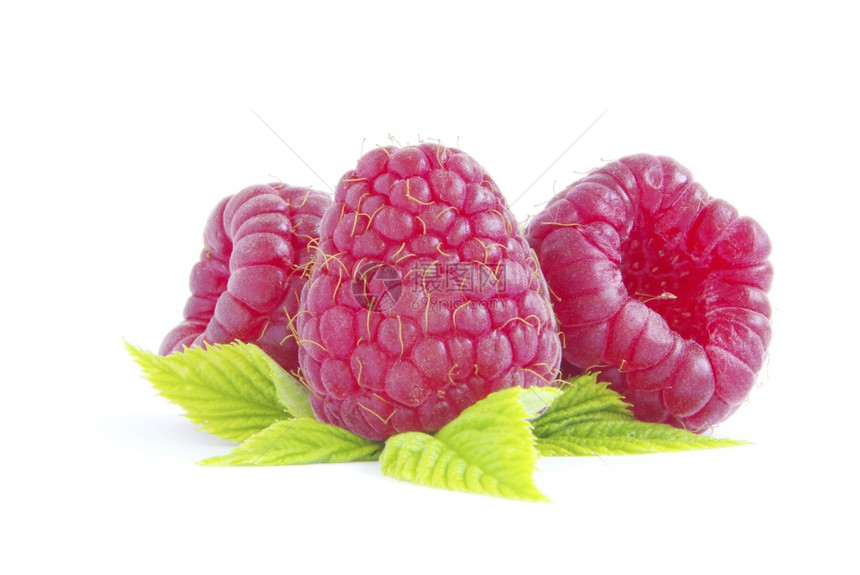 白色背景上隔离的新鲜raspberry关闭图片