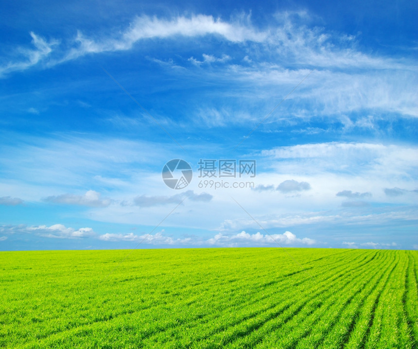 绿草和蓝云的天空图片