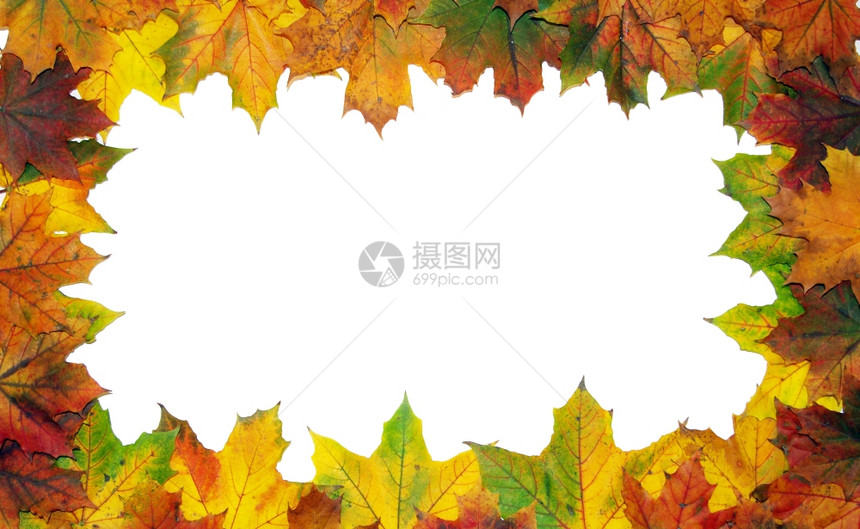 带有彩色秋叶的框架白色背景图片