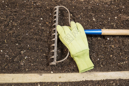 在土壤中花园翻越的横向照片在Rake牙齿旁边戴工作手套图片