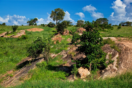 非洲有岩石的草原热带景观肯尼亚察沃西部图片