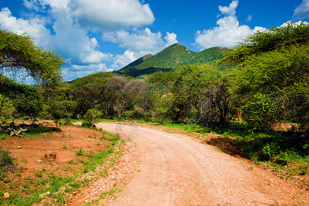 非洲红地路和草原景观肯尼亚TsavoWest图片
