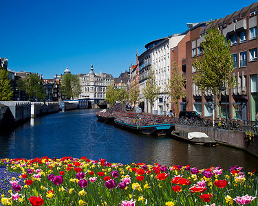 阿姆斯特丹的一条运河图片