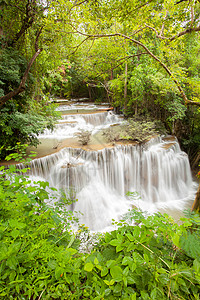 泰公园热带雨林瀑布的一部分图片