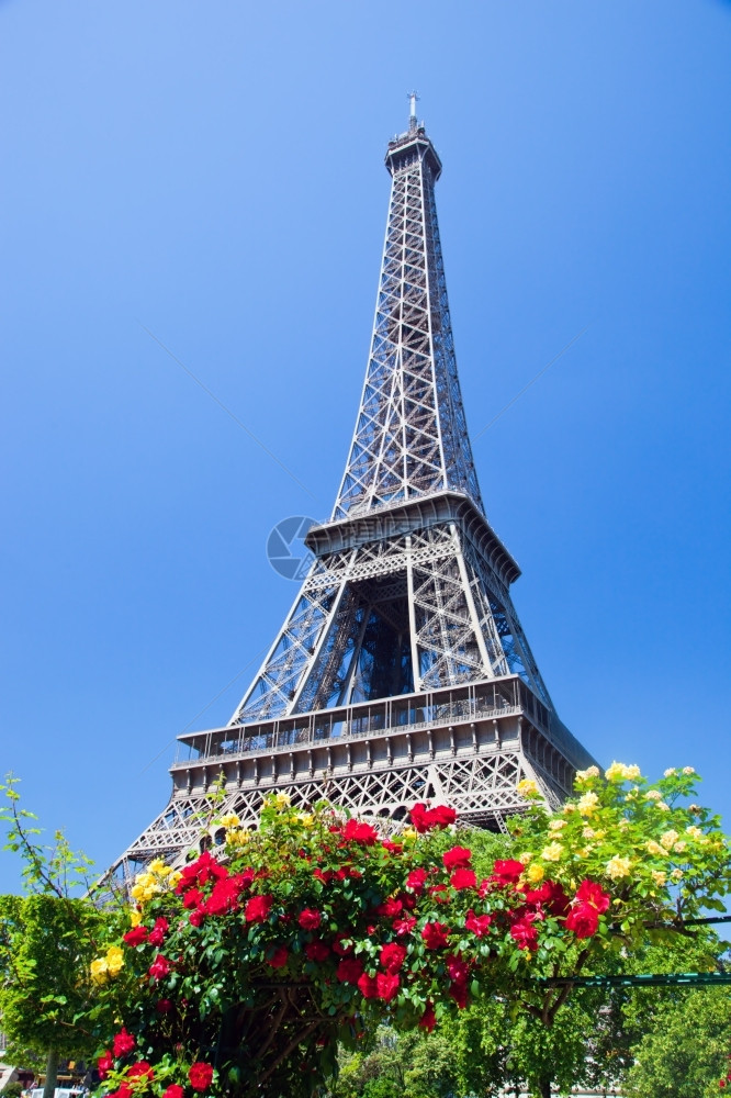 Eiffel铁塔在法国巴黎阳光明媚的夏日图片