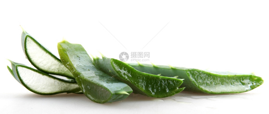 Aloevera阿尔诺韦拉图片