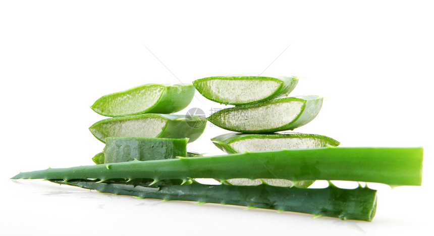 Aloevera工厂图片