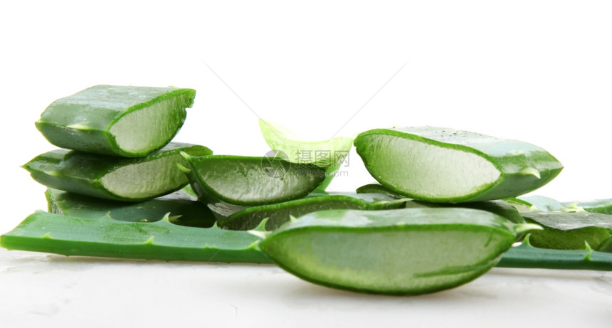 Aloeveraveravera中图片