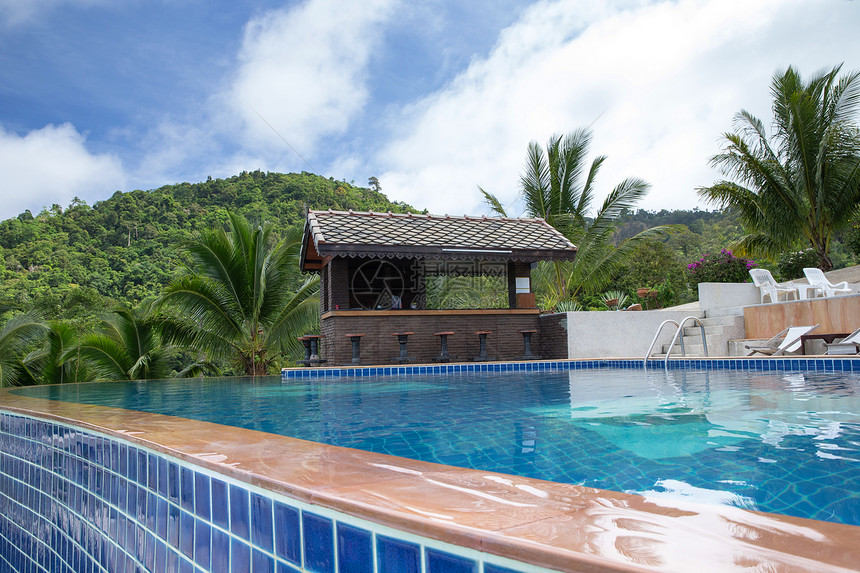 带椰子树的热游泳池图片
