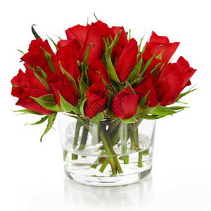 白色的花瓶里美丽红玫瑰图片