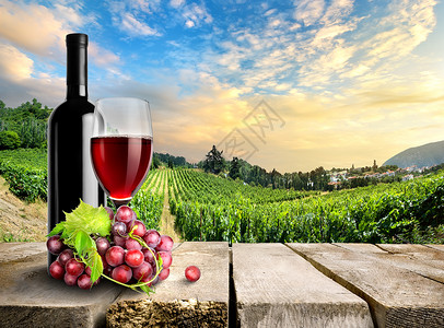 木制桌子和草地葡萄葡萄园背景的酒和背景