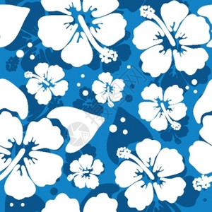 伊维萨岛抽象美丽花朵元素背景插画