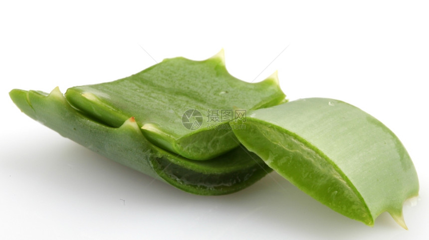 AloeVera白孤立植物图片