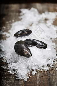 准备在冰上做饭的新鲜贝背景图片