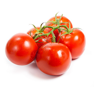 关闭白分离的葡萄藤上西红柿番茄枝高清图片