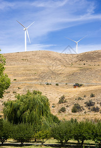 现代绿色风能发电机图片