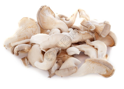 白色背景面前的百花蘑菇图片