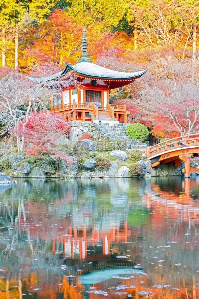 日本京都的达哥寺佛教庙图片