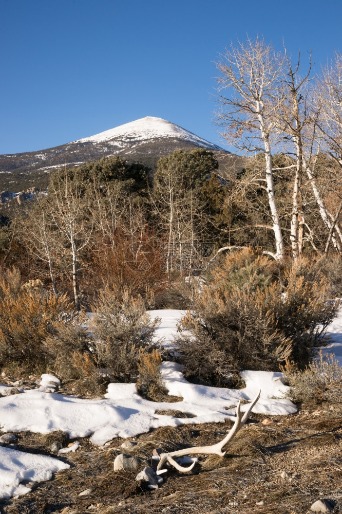 大盆地公园冬季景观图片