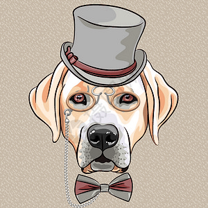 拉布拉多寻回犬穿着灰色丝冠针环和弓领带的灰色丝帽针环和蝴蝶领带插画