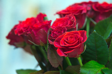 关闭一束美丽的红玫瑰花束图片