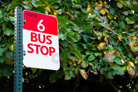 红色和白标志路6号和上下公共汽车的站图片