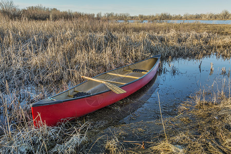清春初在湿地用木板桨的红独舟图片