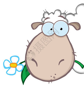 绵羊头嘴中带着鲜花背景图片