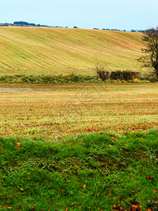 美丽的爱尔兰秋天地貌草野风景科克爱尔兰欧洲背景图片