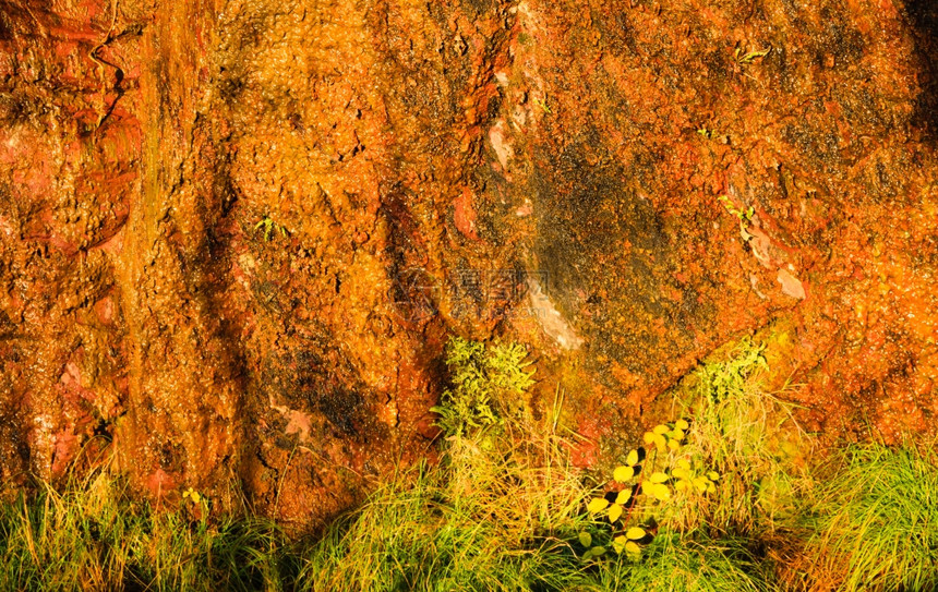 自然湿橙色岩壁背景图片