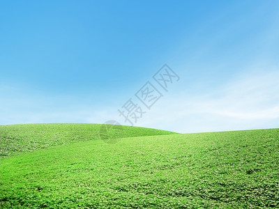 美丽的夏季风景图片