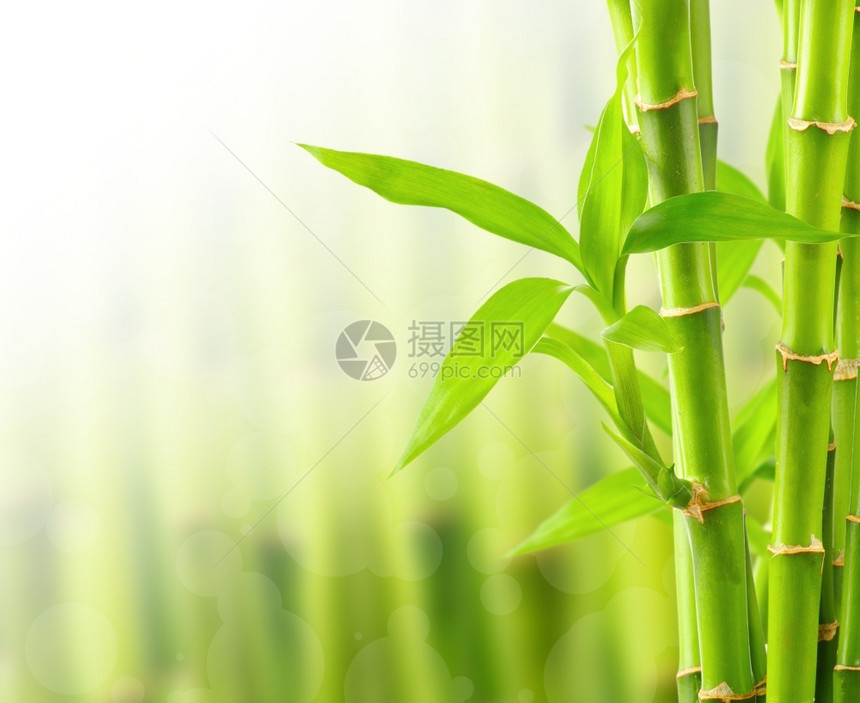 带复制空间的竹布背景图片