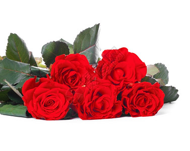 红色玫瑰花团孤立在白色上图片